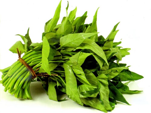 rau-muong635423157753831049
