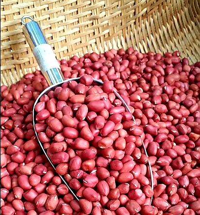 Red Peanuts (50€ HT/carton) Vmart